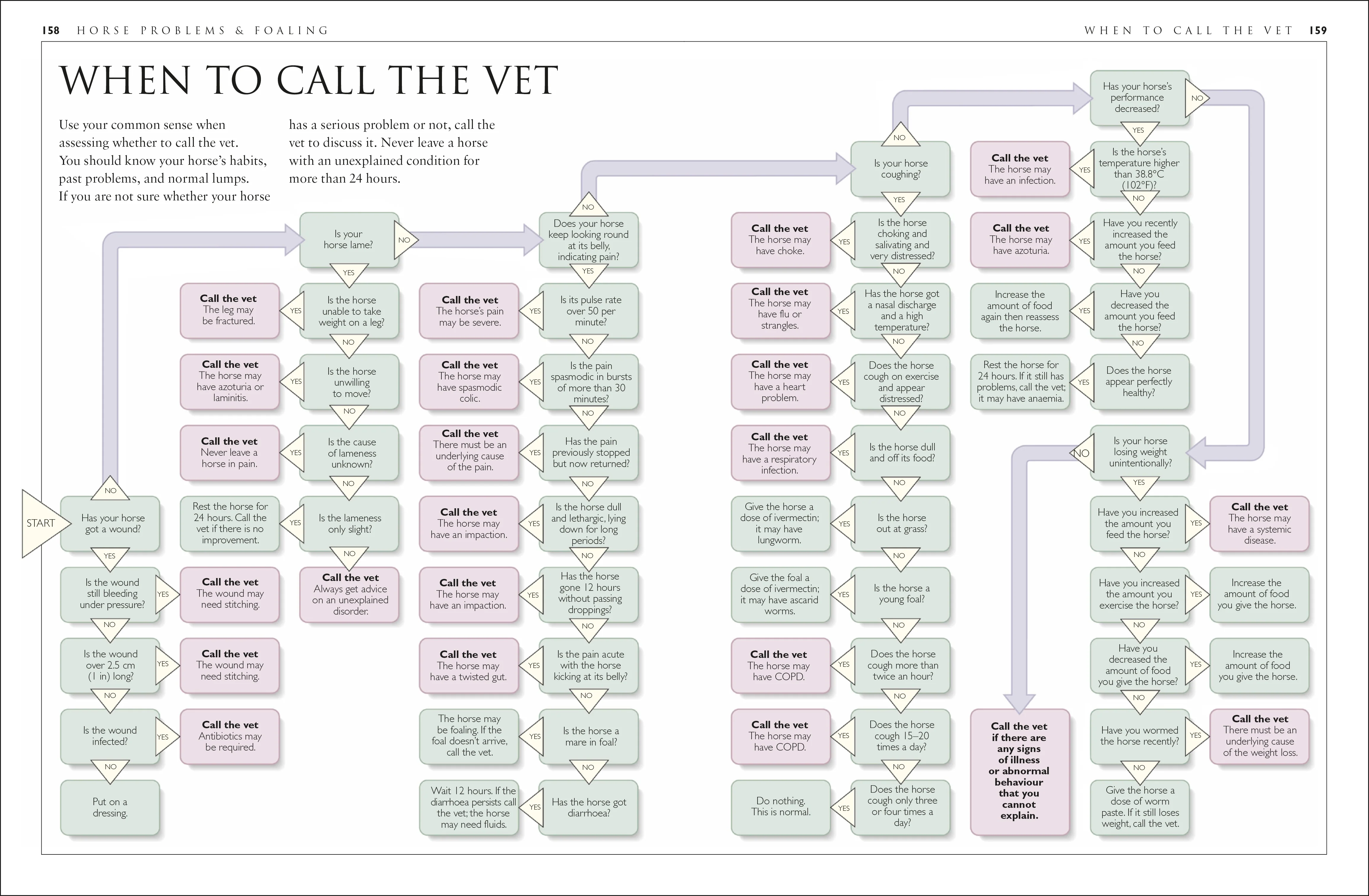 Complete Horse Care Manual - Image 12