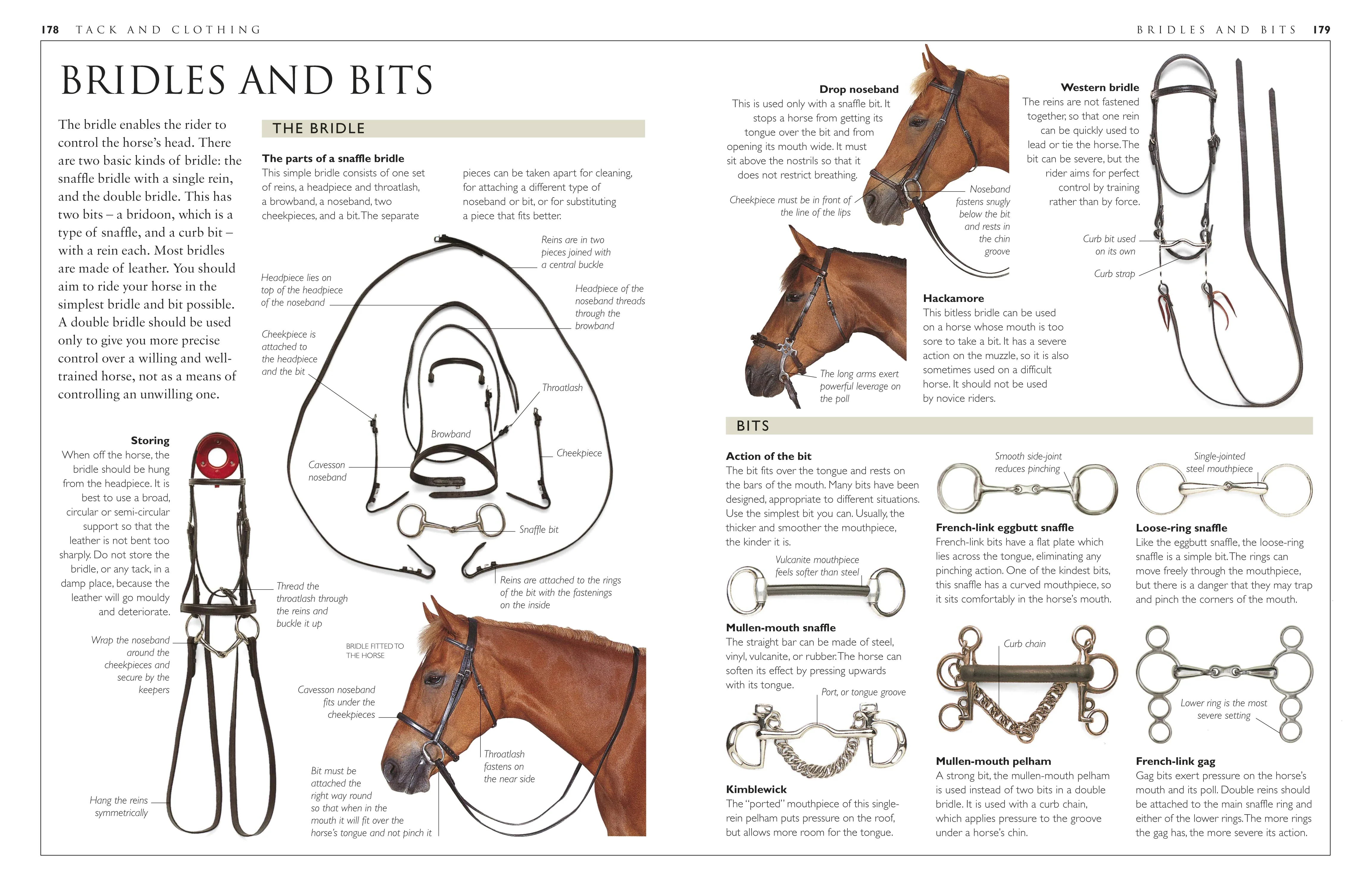 Complete Horse Care Manual - Image 3