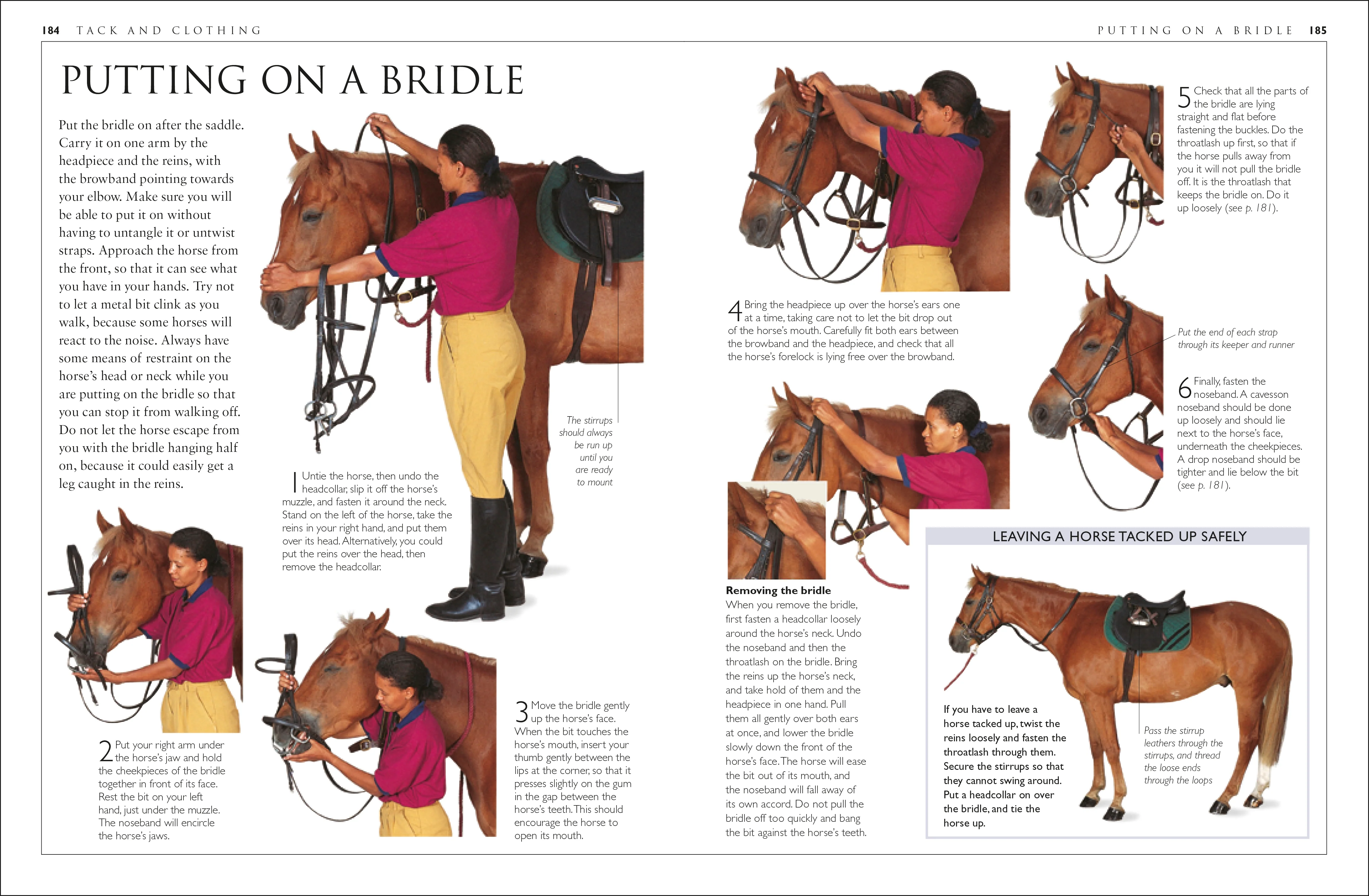 Complete Horse Care Manual - Image 4