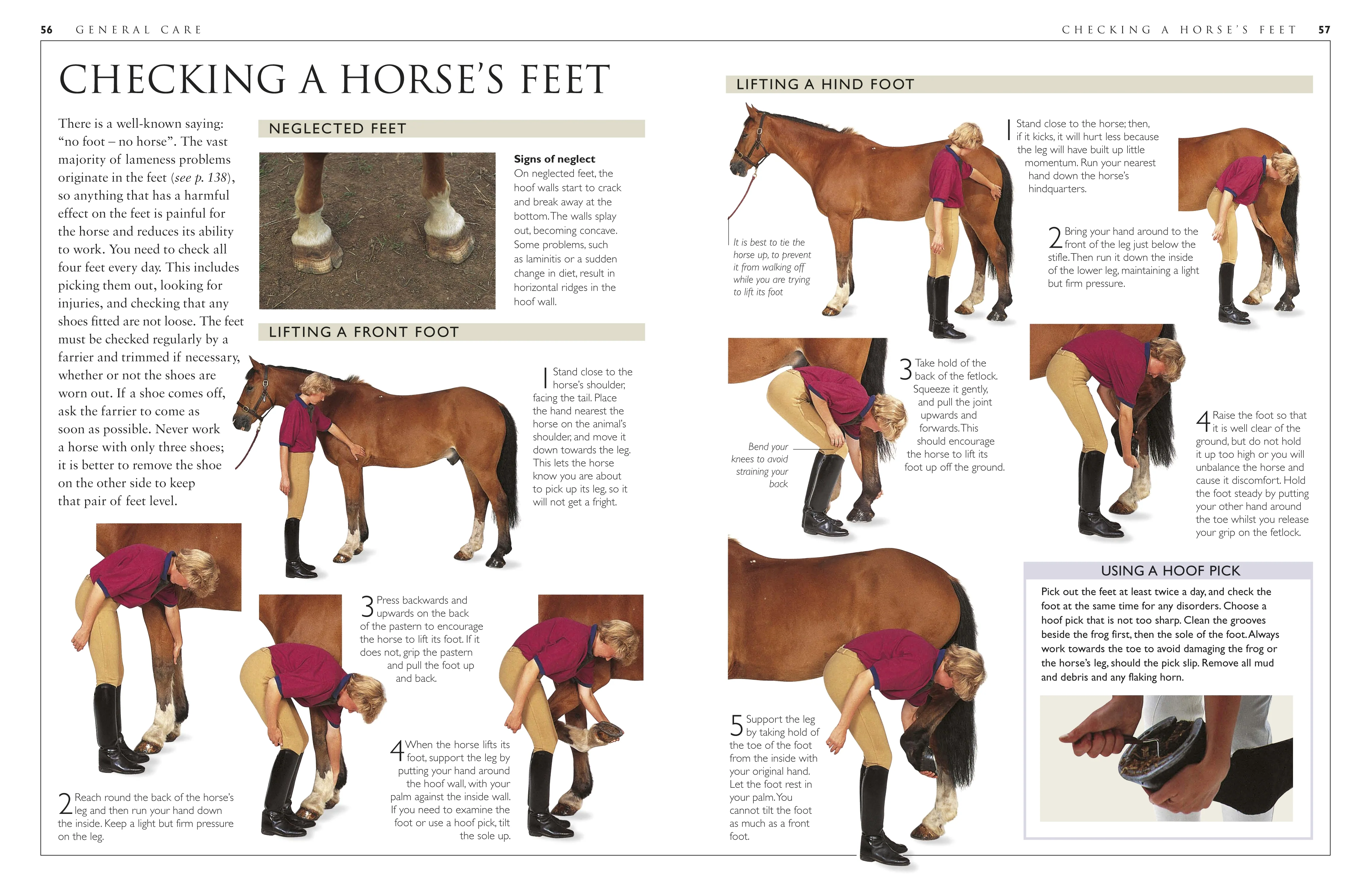 Complete Horse Care Manual - Image 6