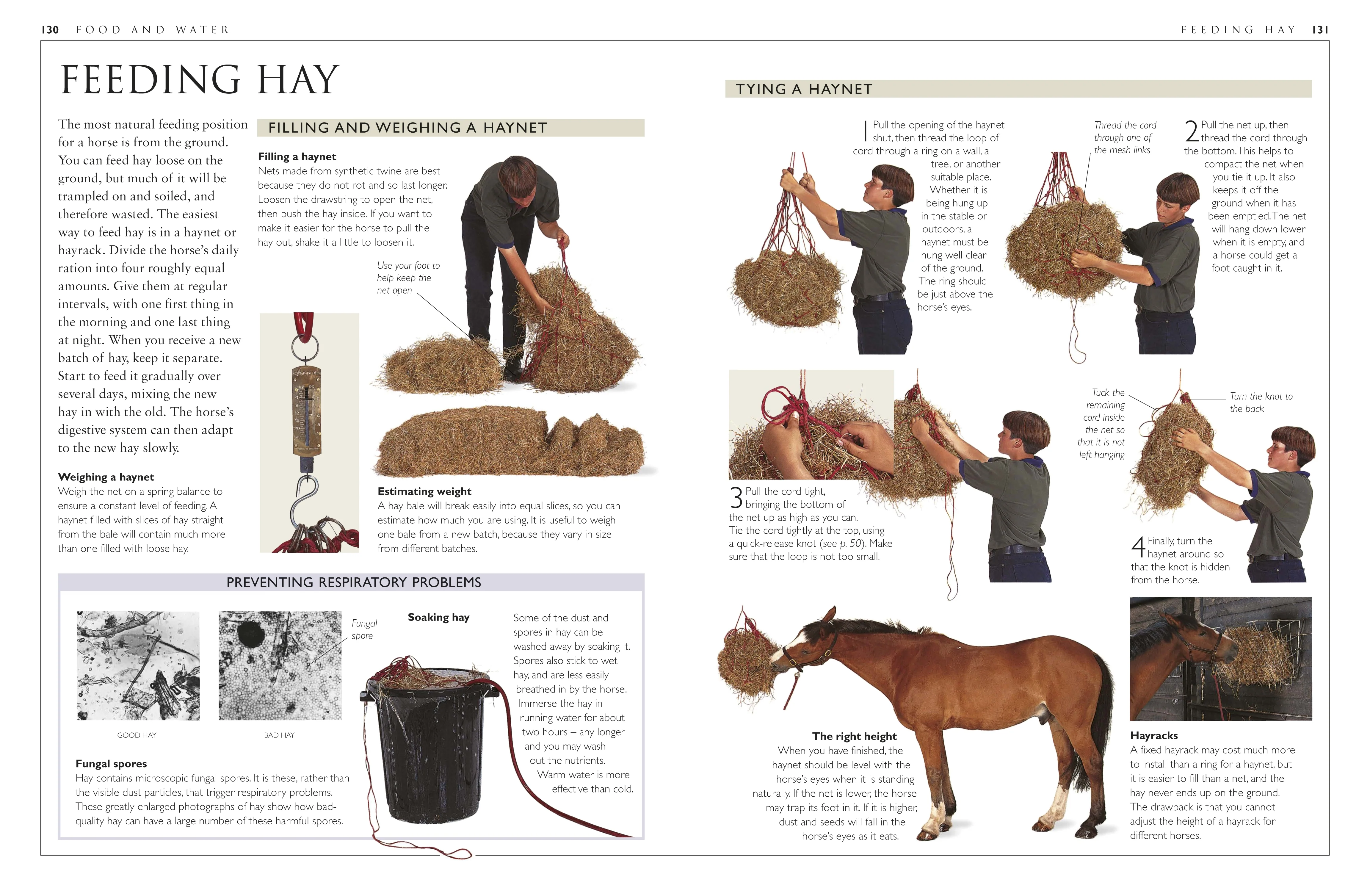 Complete Horse Care Manual - Image 7
