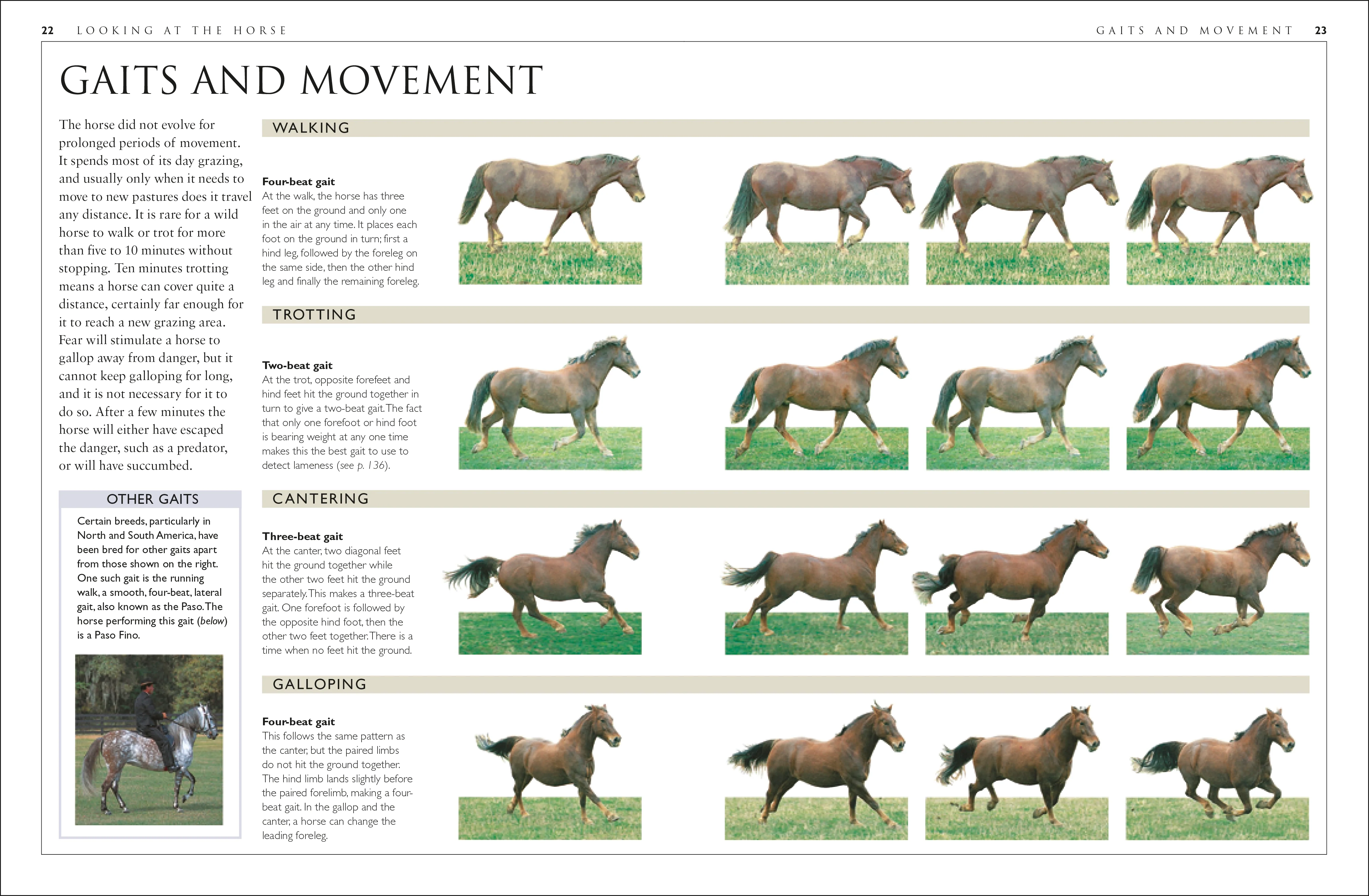Complete Horse Care Manual - Image 8