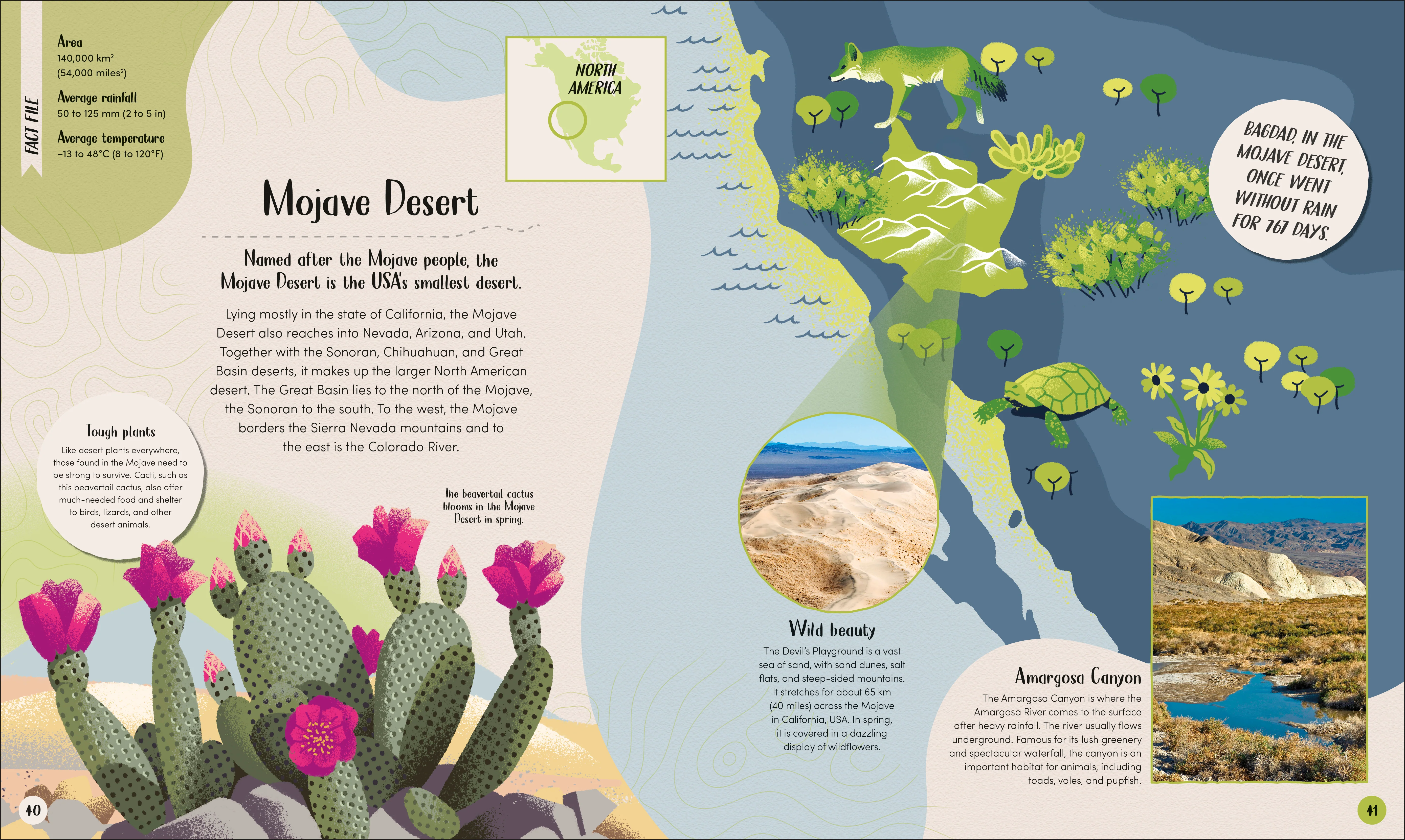 Desert - Image 3
