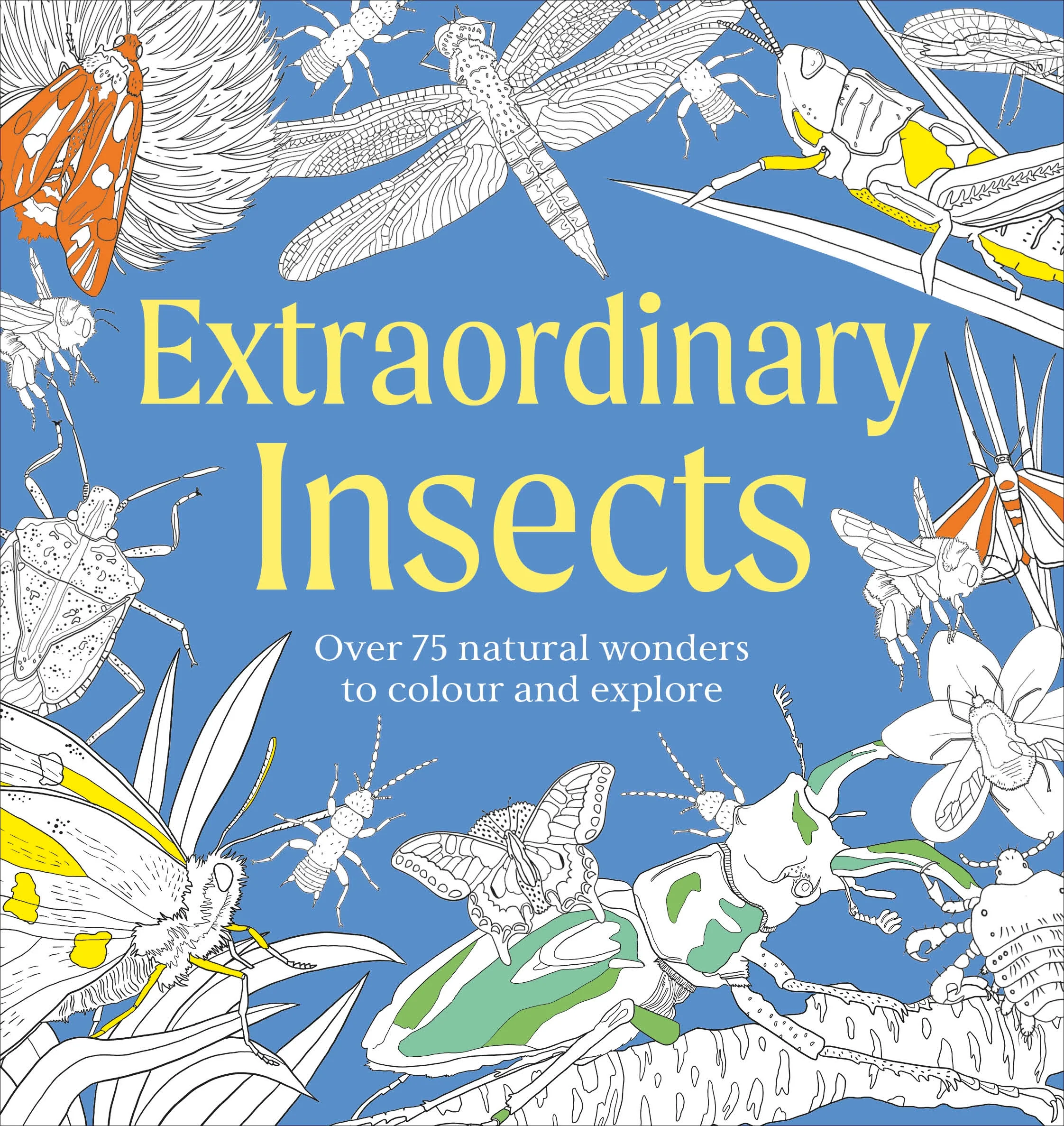 Extraordinary Insects Colouring Book - Image 2