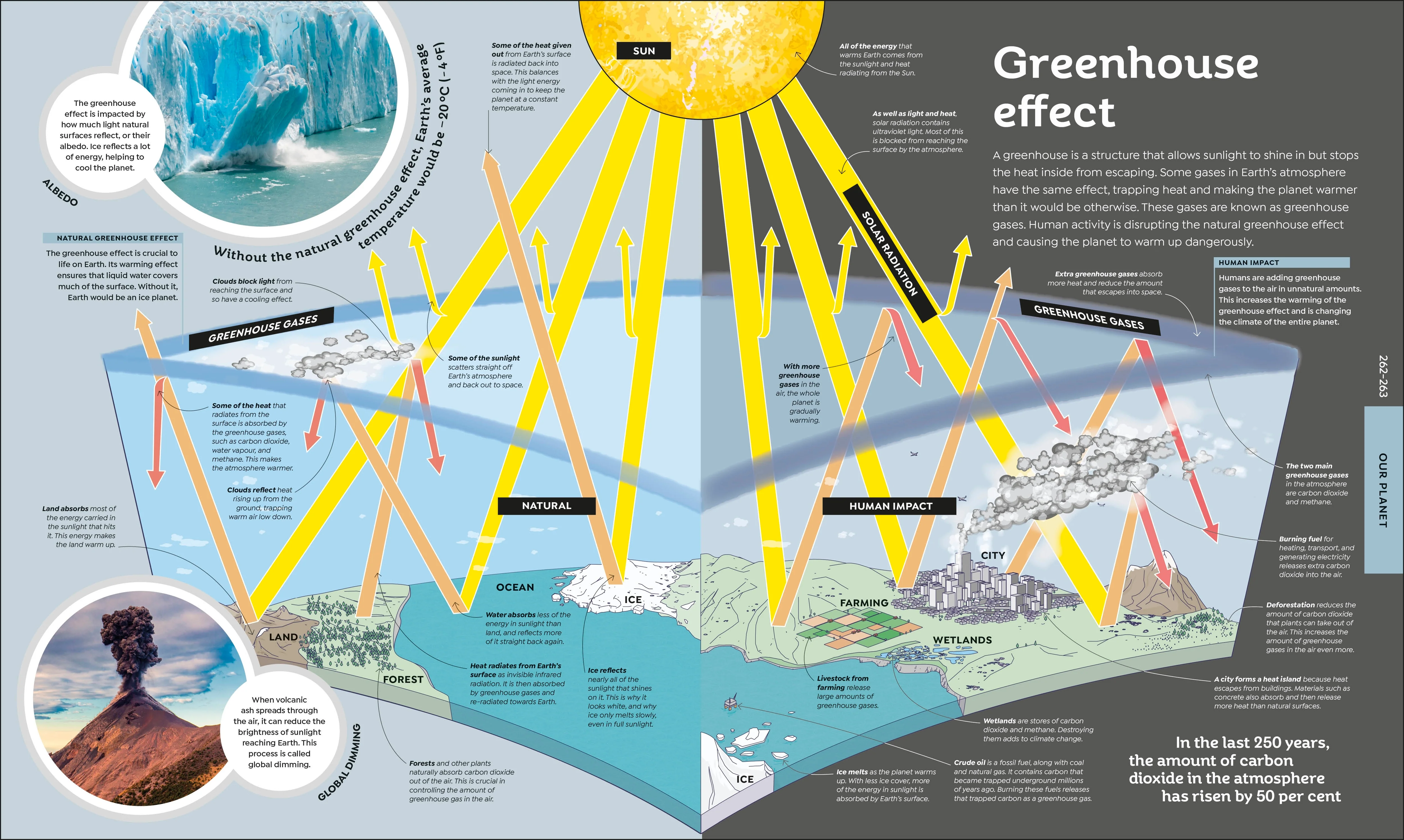 How Everything Works - Image 9