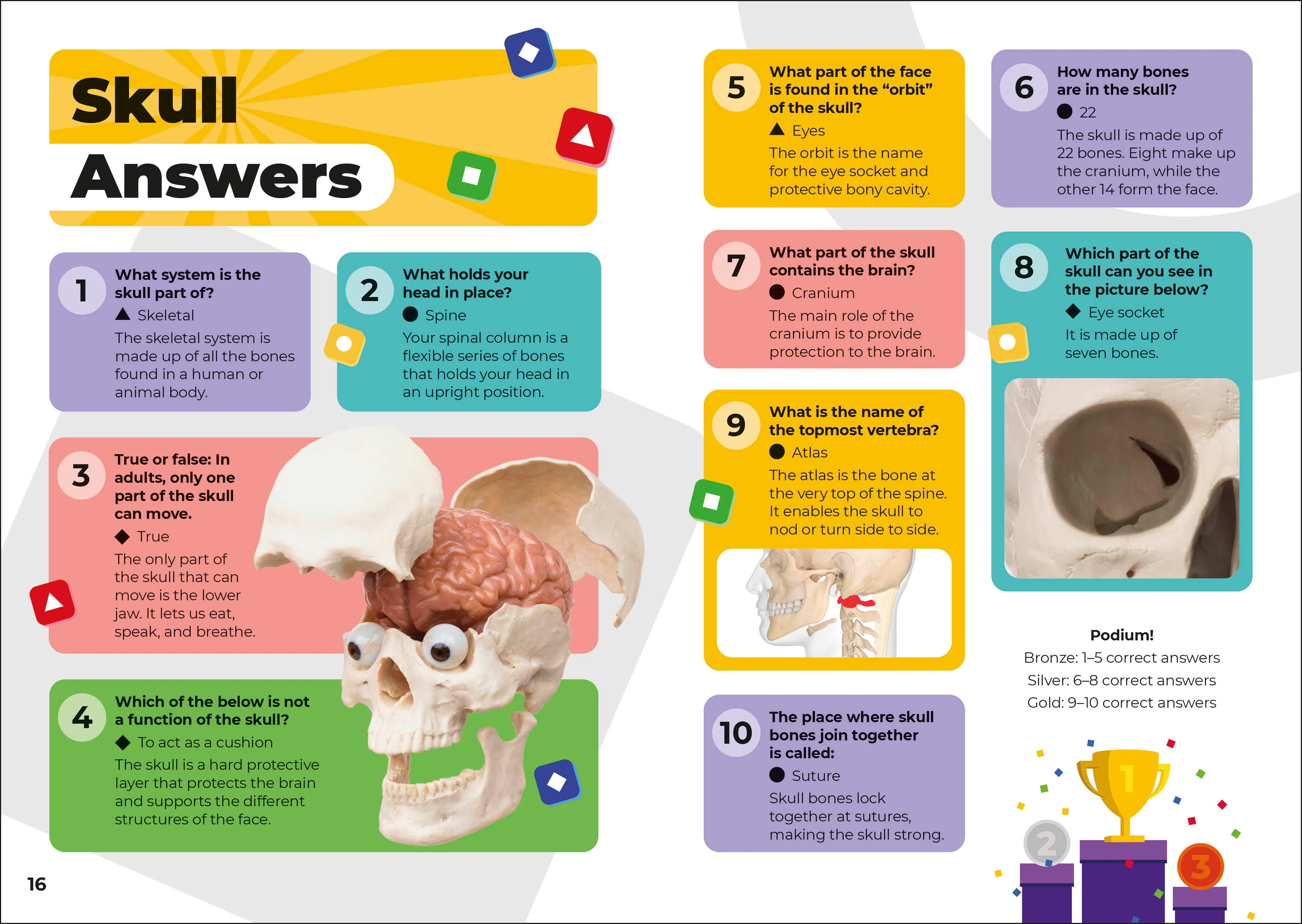 Kahoot! Quiz Time Human Body - Image 3