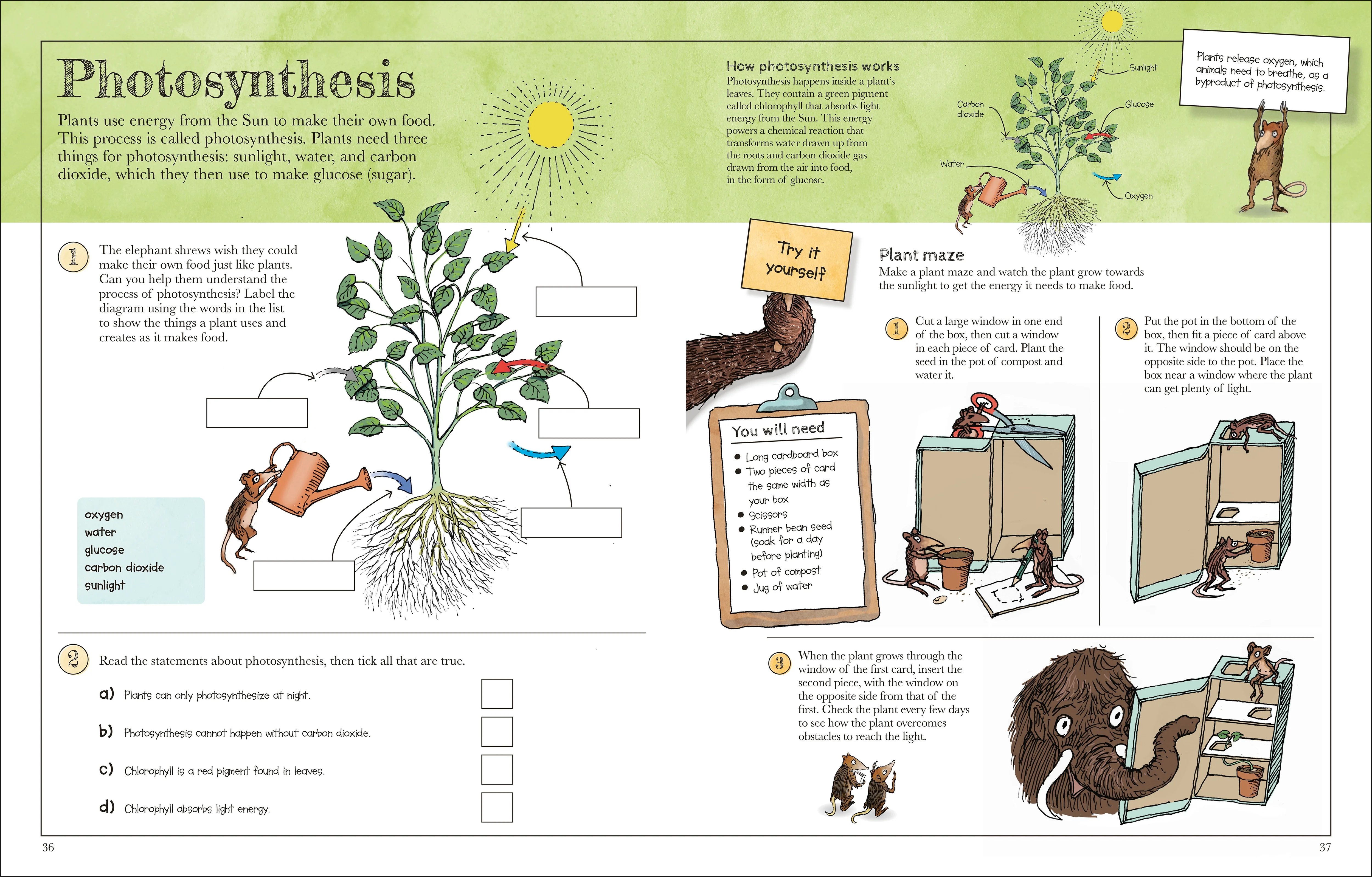 Mammoth Science Workbook - Image 5