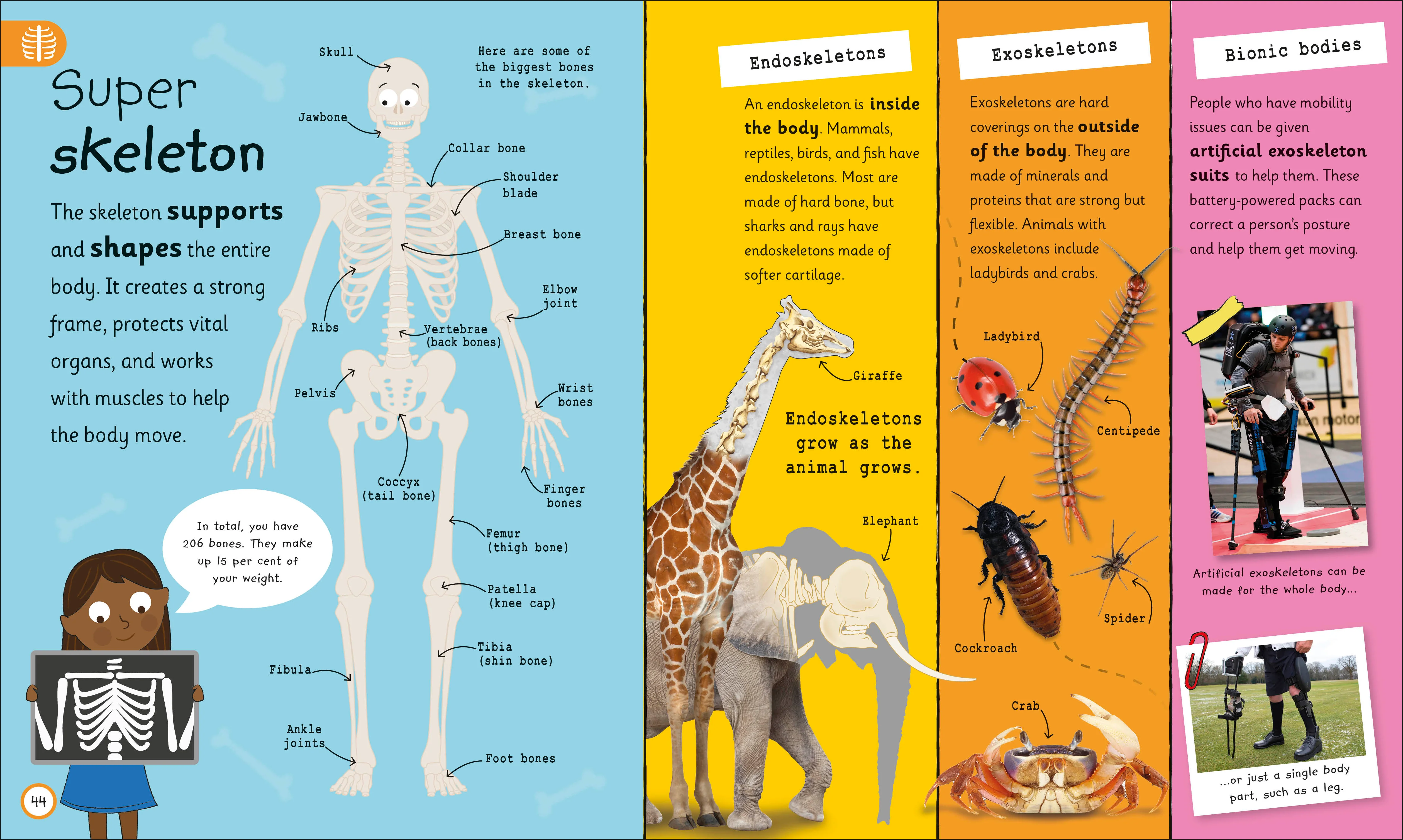 My Very Important Human Body Encyclopedia - Image 3