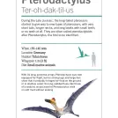 Our World in Pictures Dinosaurs and Other Prehistoric Creatures Flash Cards - Image 3