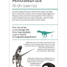 Our World in Pictures Dinosaurs and Other Prehistoric Creatures Flash Cards - Image 5