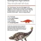 Our World in Pictures Dinosaurs and Other Prehistoric Creatures Flash Cards - Image 6