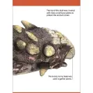 Our World in Pictures Dinosaurs and Other Prehistoric Creatures Flash Cards - Image 7