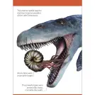Our World in Pictures Dinosaurs and Other Prehistoric Creatures Flash Cards - Image 9