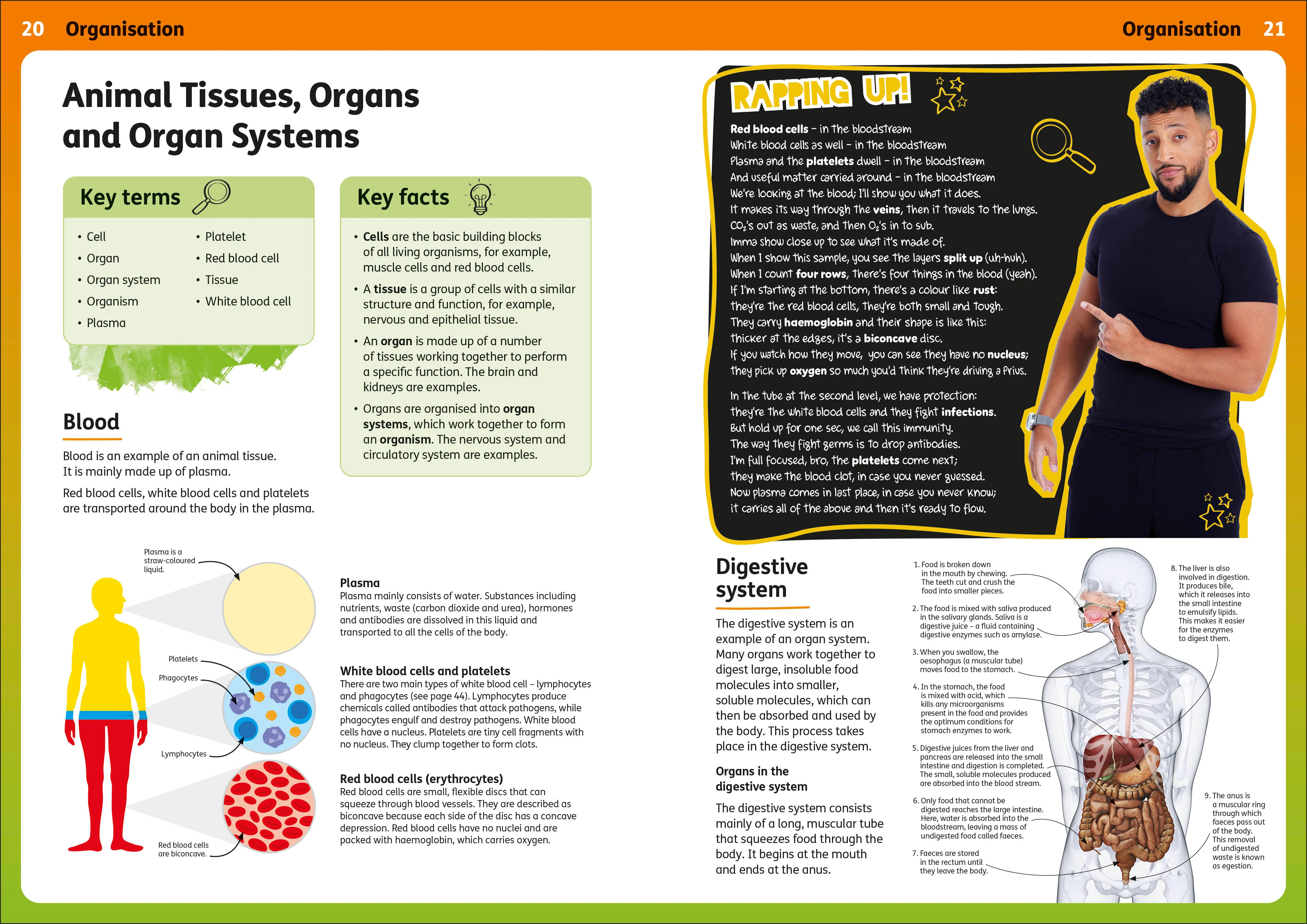 Rapping Up Biology - Image 2