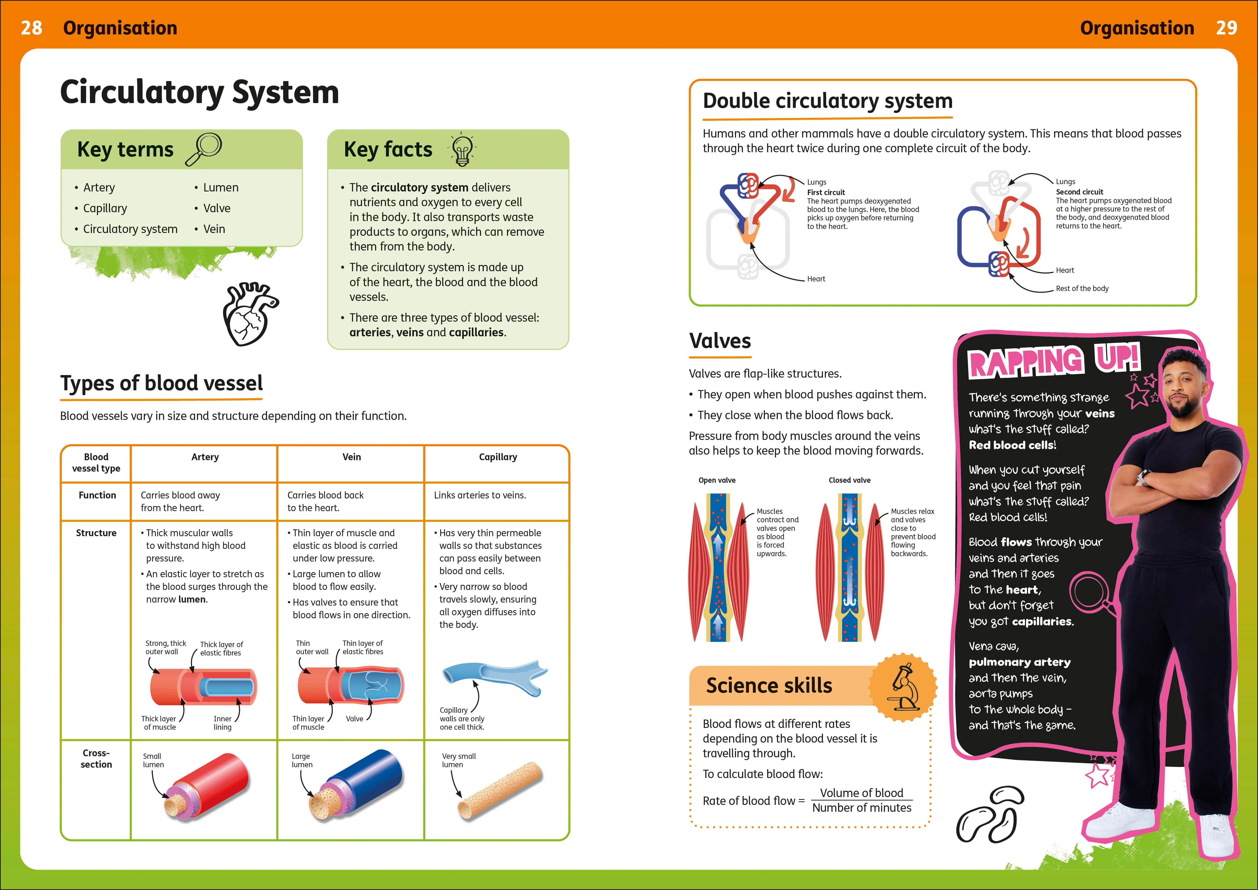 Rapping Up Biology - Image 3