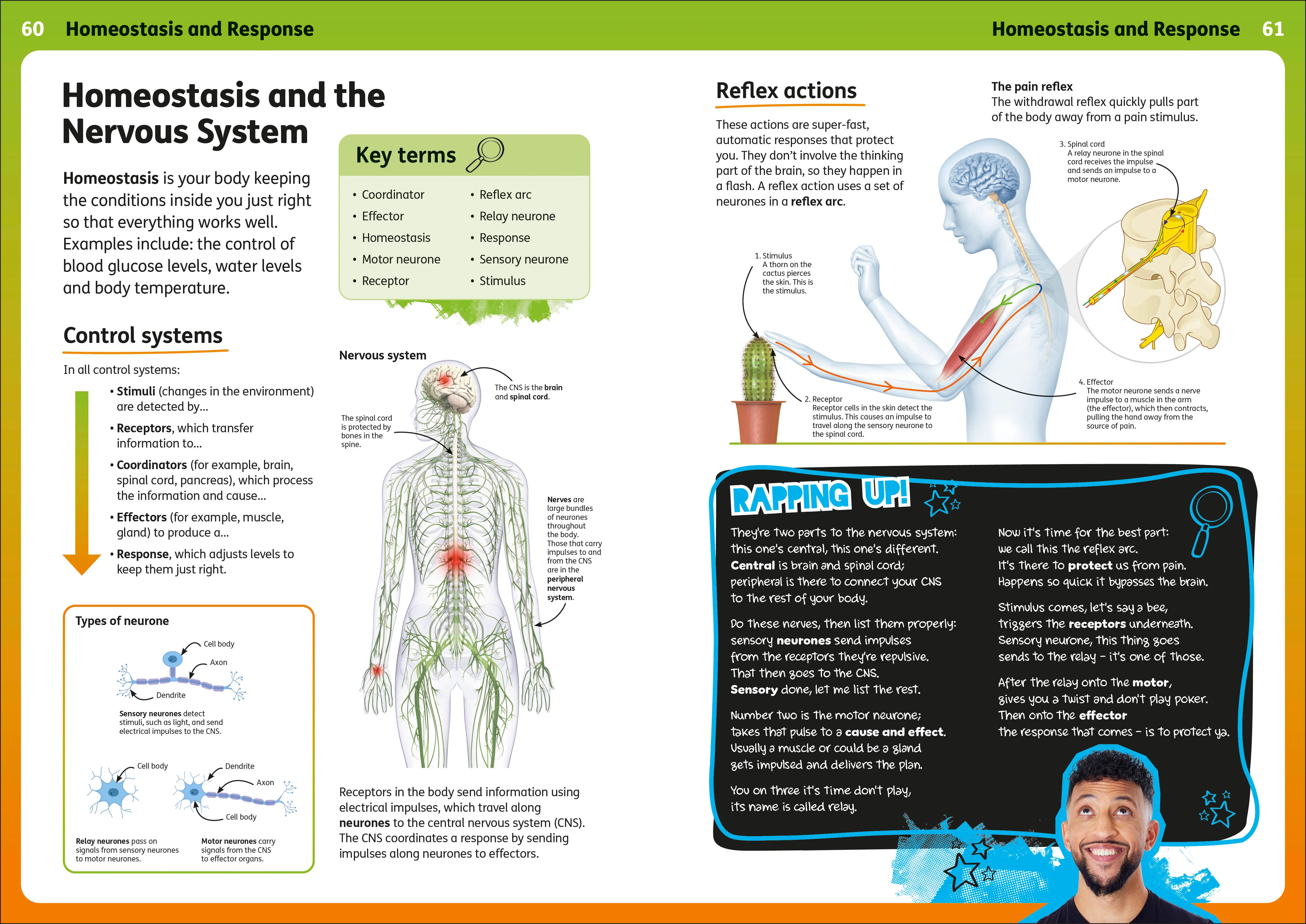 Rapping Up Biology - Image 4