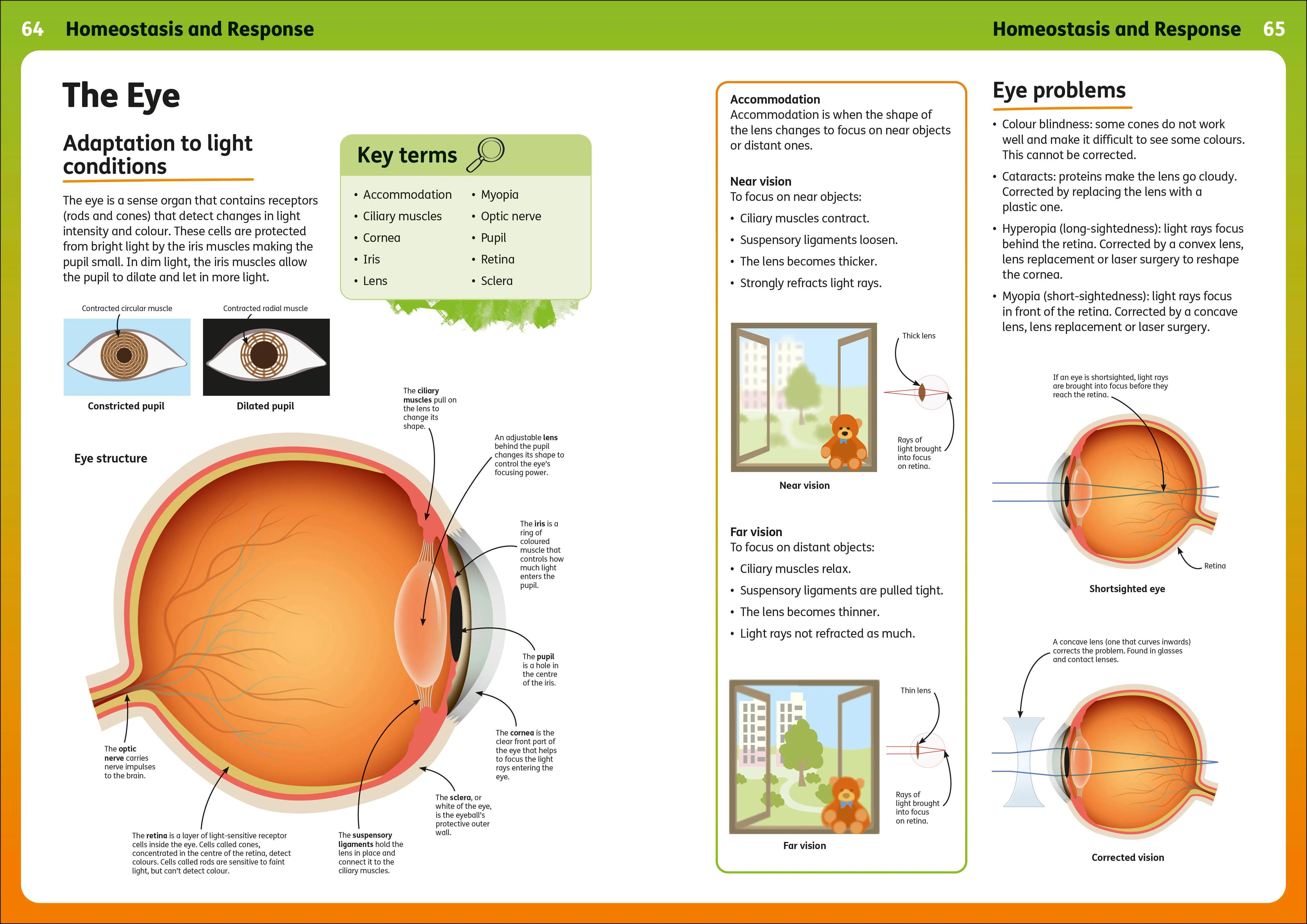 Rapping Up Biology - Image 5