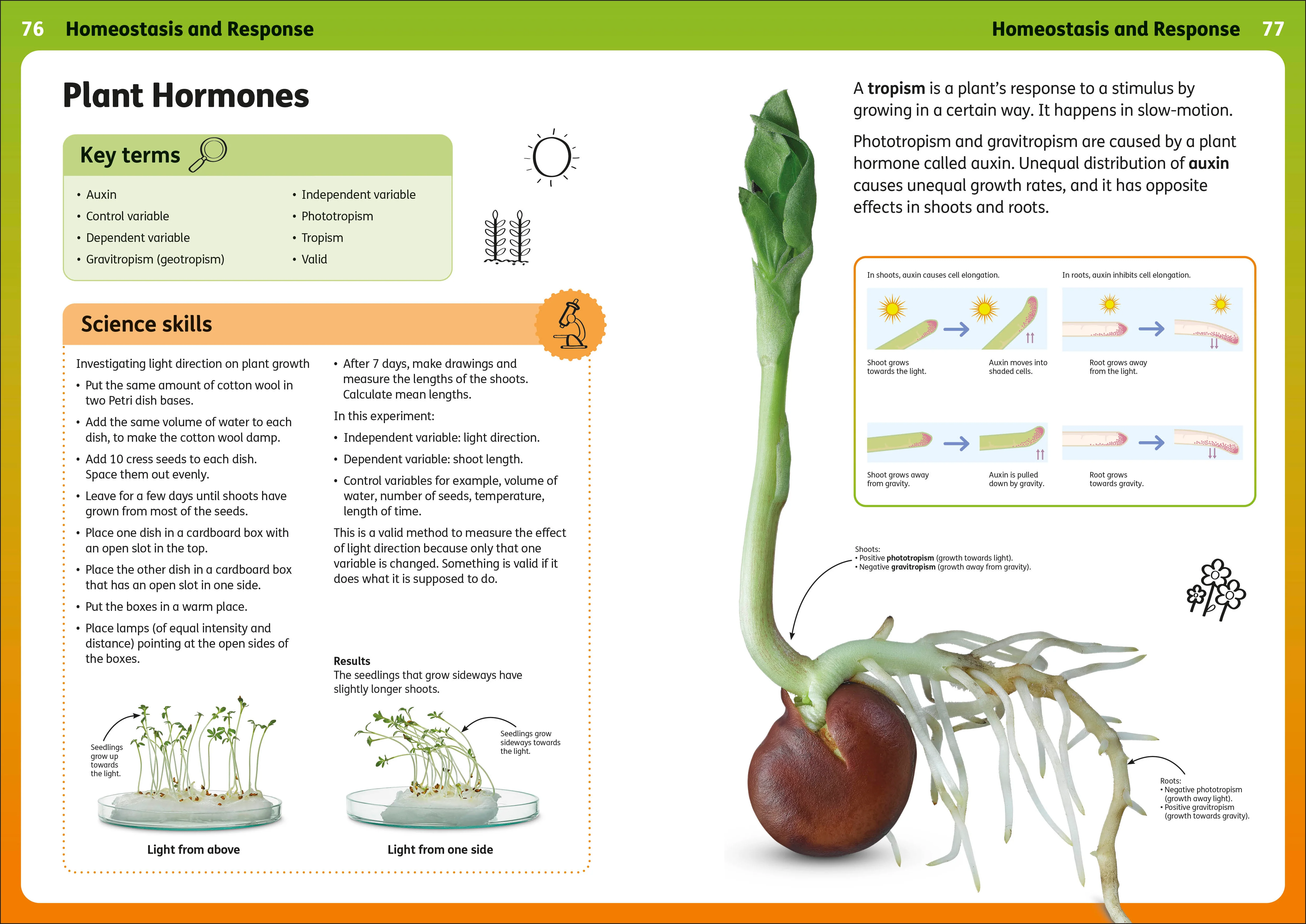 Rapping Up Biology - Image 6