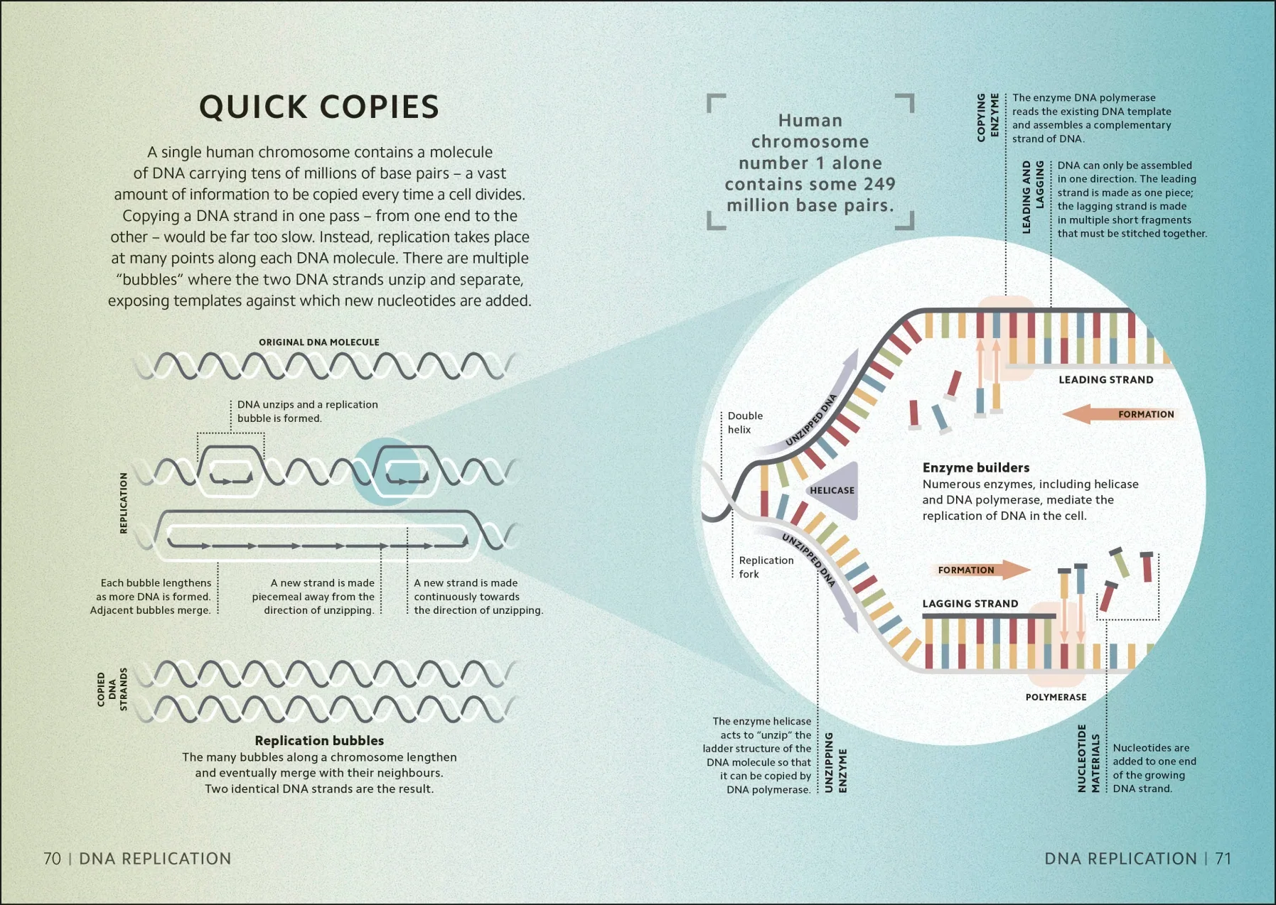 Simply Genetics - Image 3