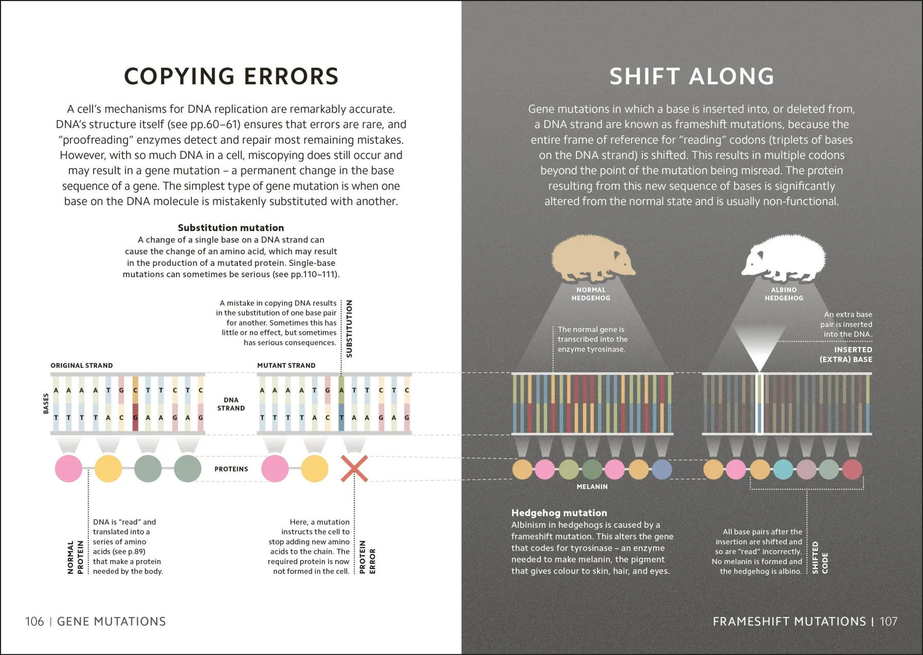 Simply Genetics - Image 5