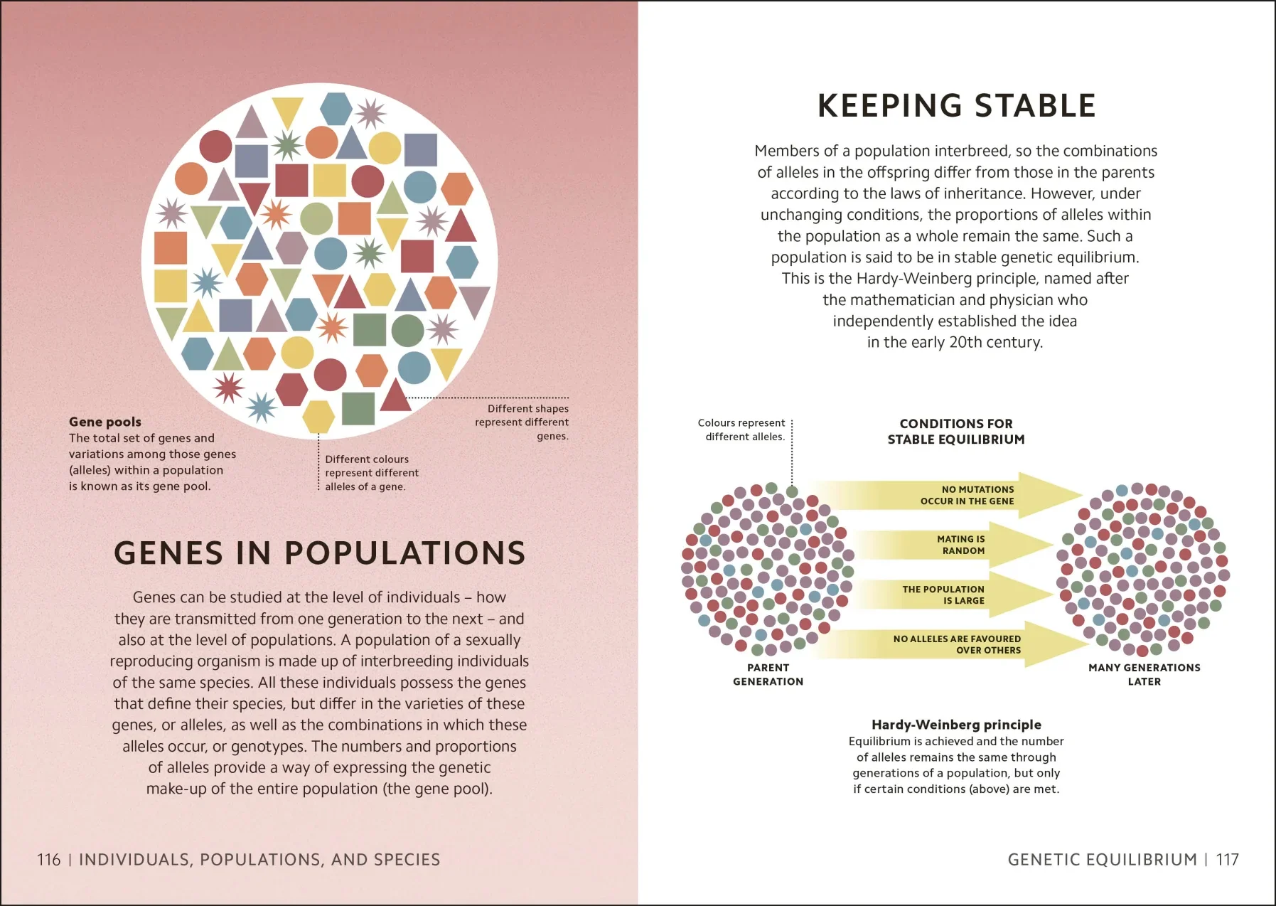 Simply Genetics - Image 6