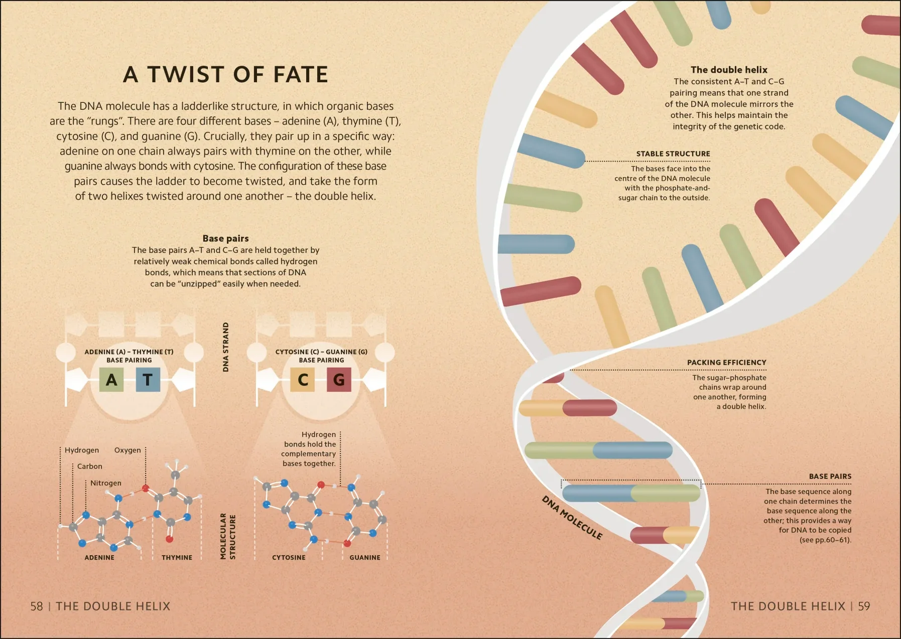Simply Genetics - Image 7