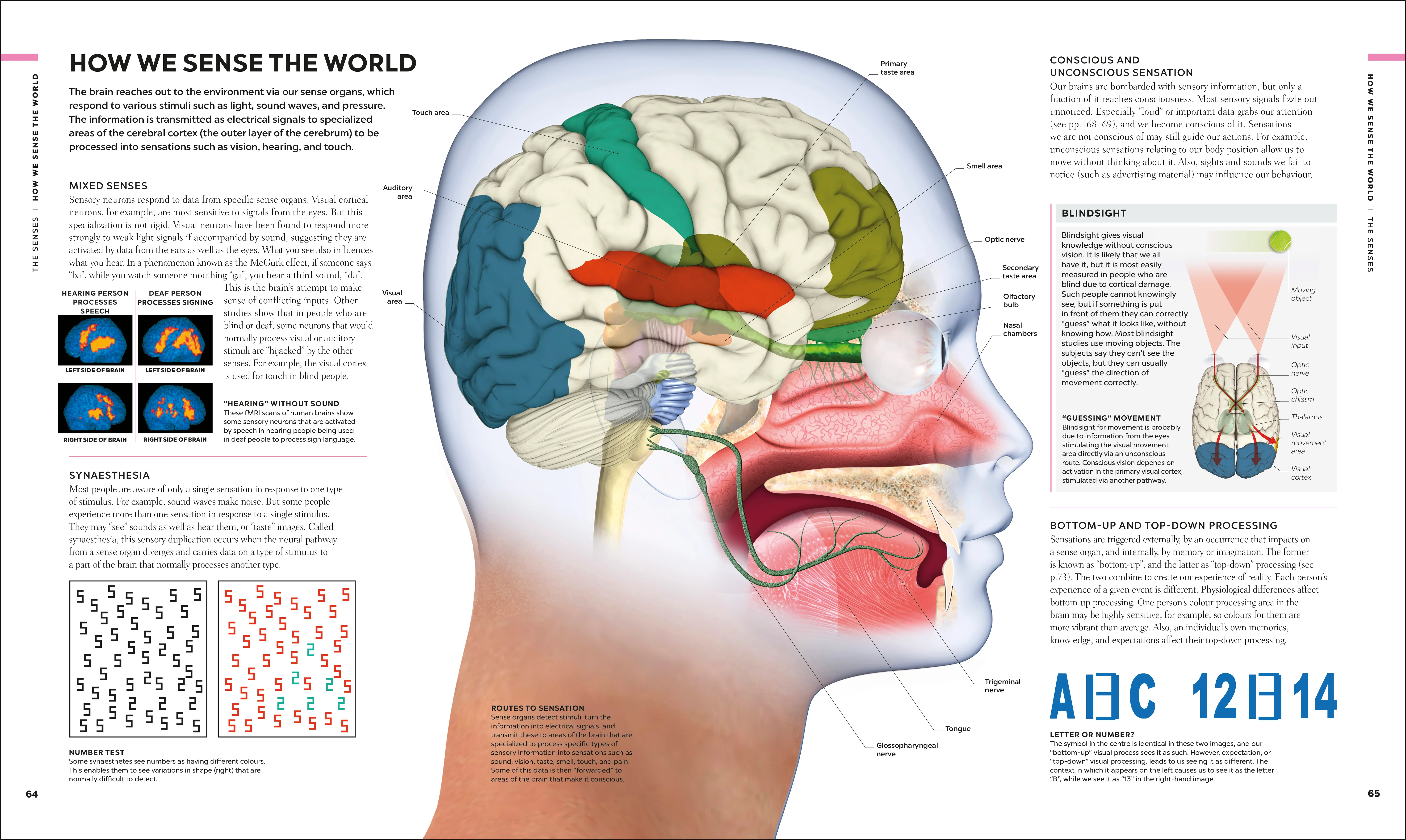 The Brain Book - Image 3