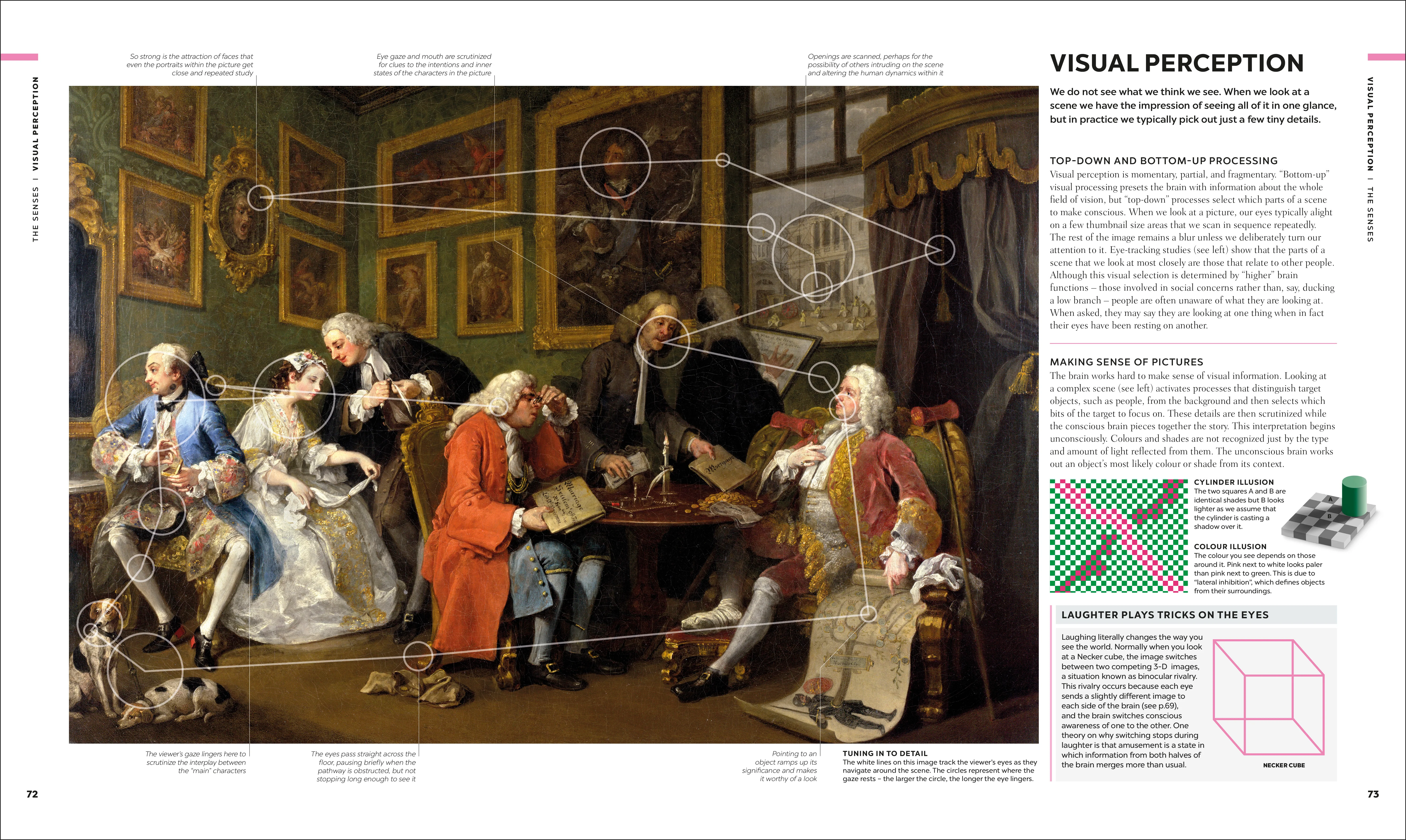 The Brain Book - Image 4