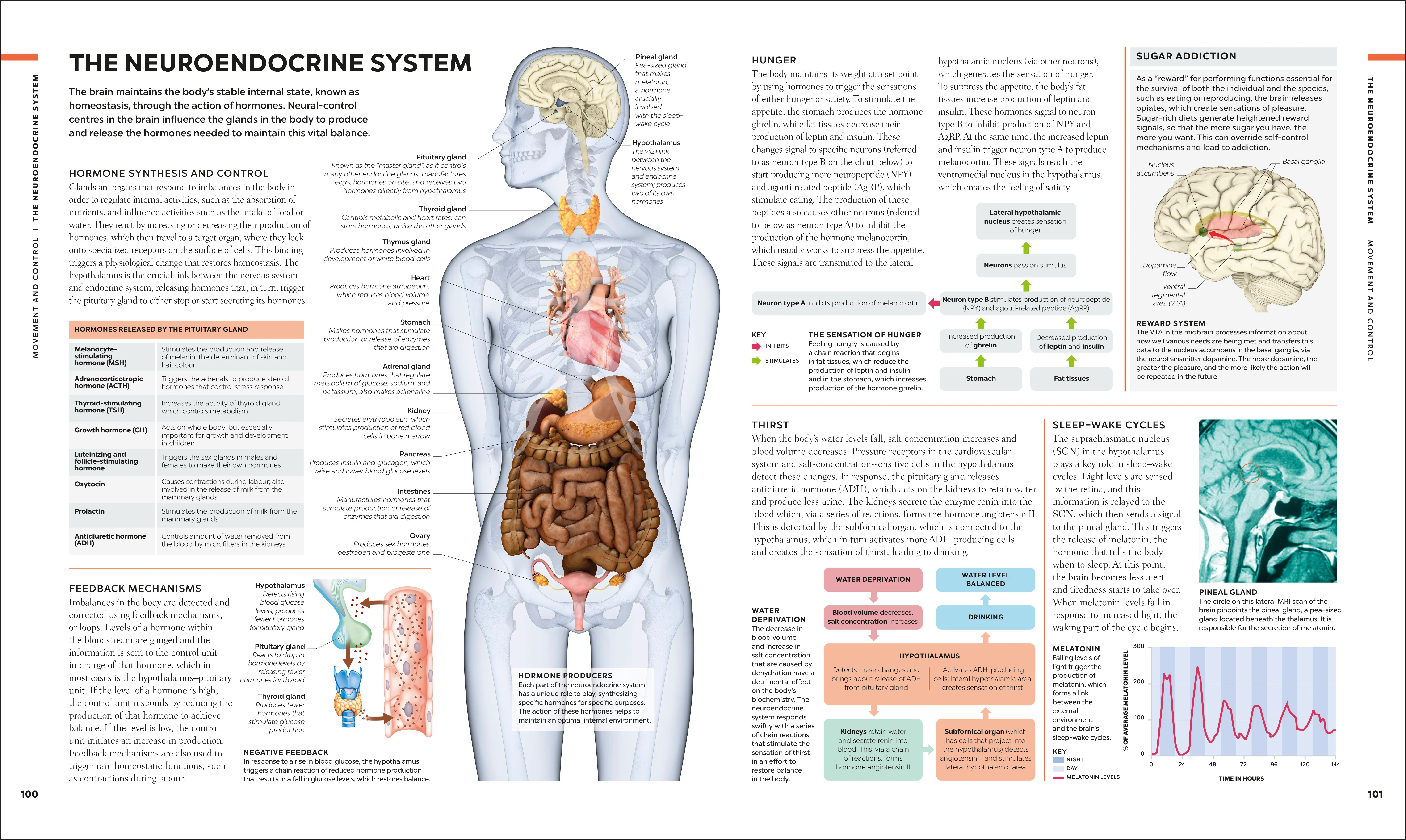 The Brain Book - Image 5