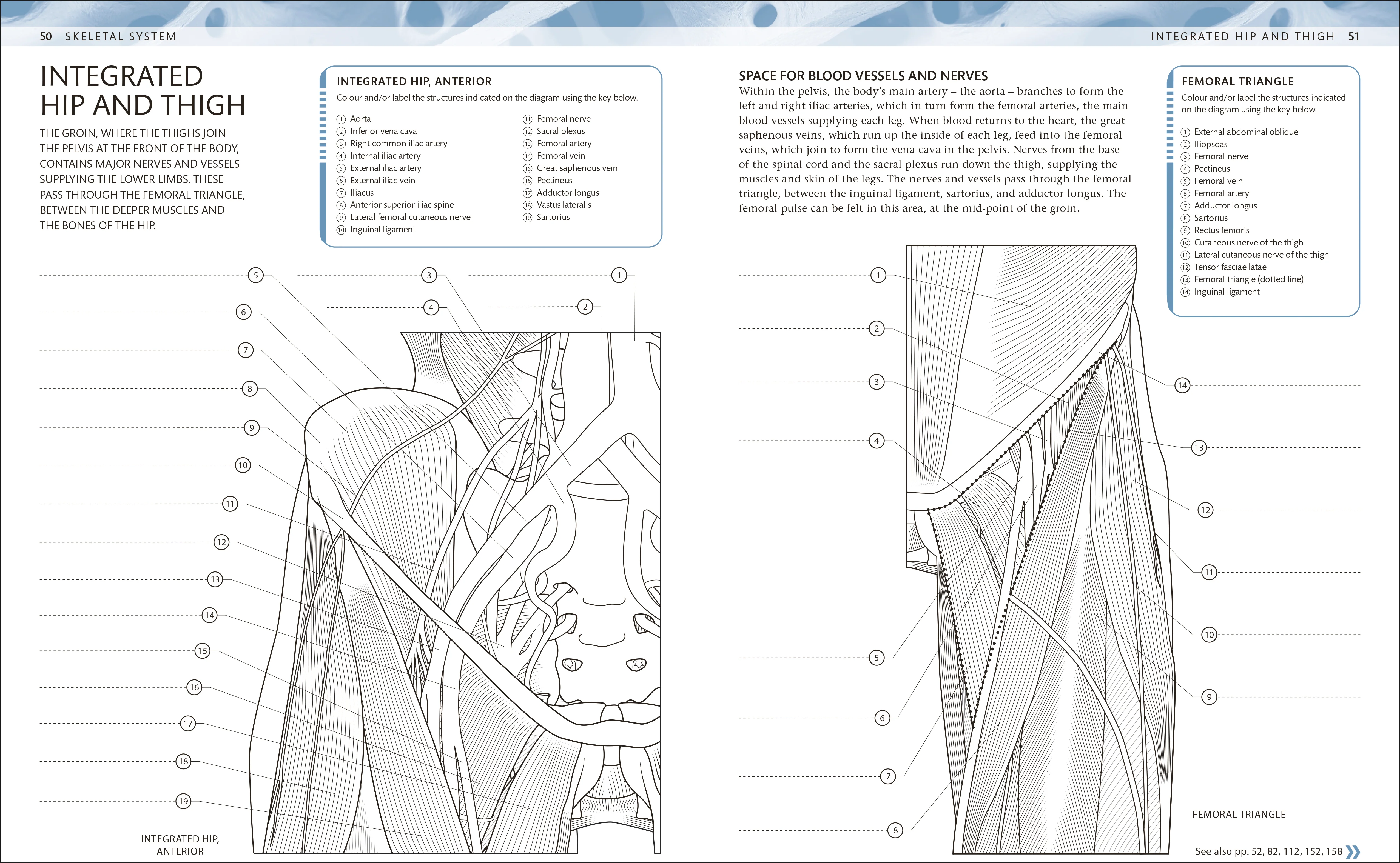 The Human Body Colouring Book - Image 3