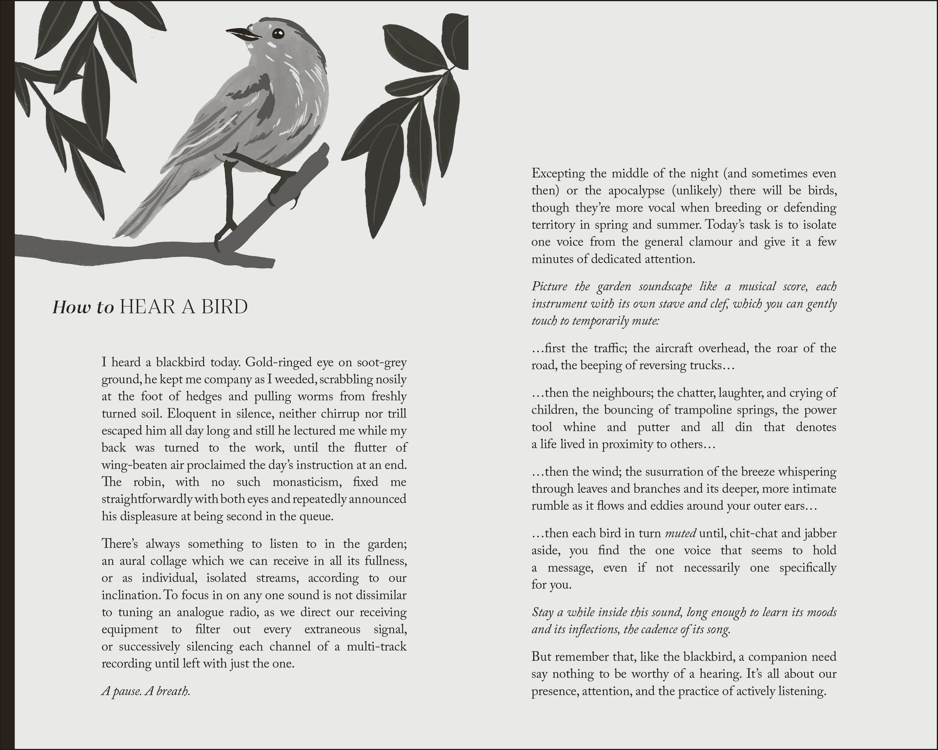 To Stand And Stare - Image 6